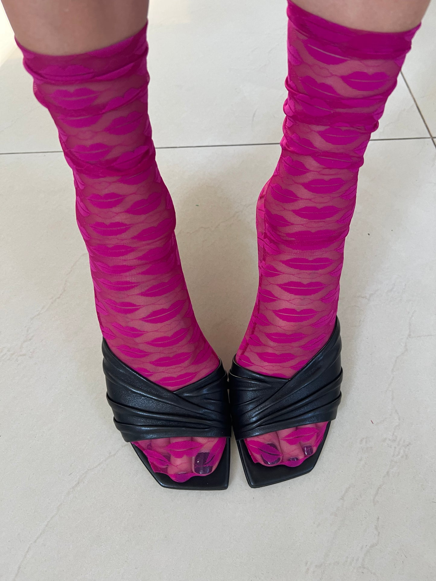 Kojinaitės Ciklameninės lūpytės